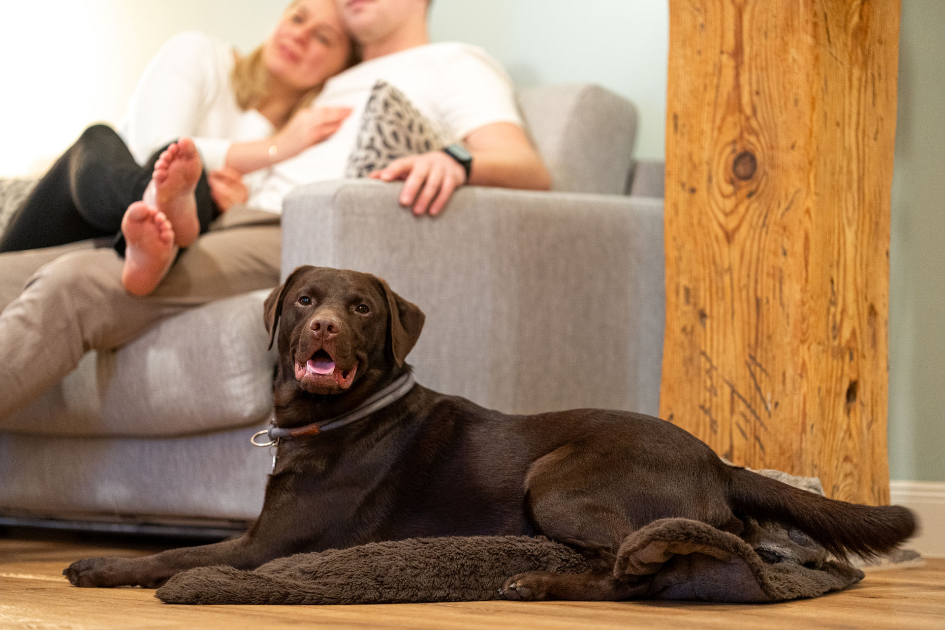 Hunde auf seiner Decke vor dem Sofa mit seinen Herrchen im Gulfhof Fresena